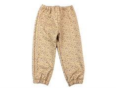 Wheat